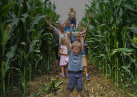 Viel Spaß im Maislabyrinth