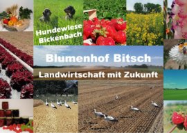 Neubau des Blumenhofs auf der Weide in Bickenbach